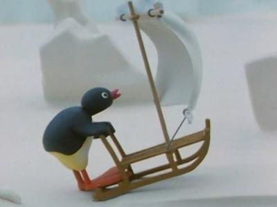 Pingu