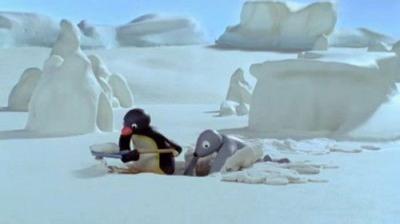 Pingu