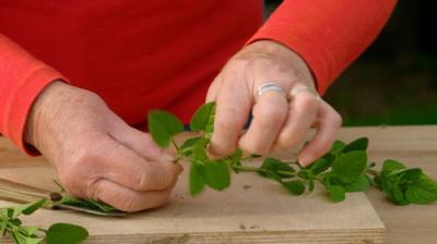 Gardeners' World