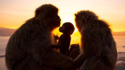 Septyni pasauliai, viena planeta