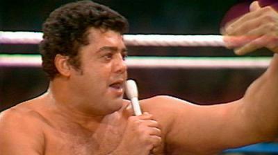 WWF All-Star Wrestling
