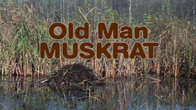 Marty Stouffer's Wild America
