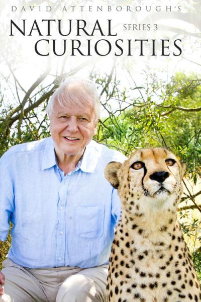 David Attenborough's Natural Curiosities filmas online