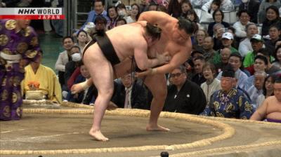 GRAND SUMO Highlights