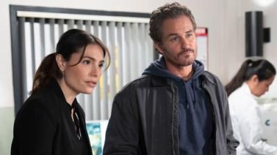 Įstatymas ir tvarka. Specialiųjų tyrimų skyrius