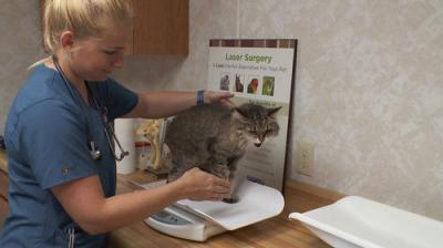 The Incredible Dr. Pol