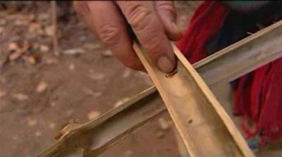 Dual Survival