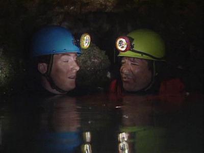 Drop the Dead Donkey