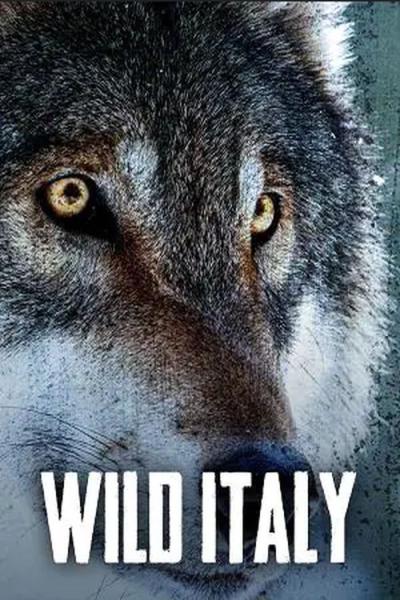 Wild Italy filmas online