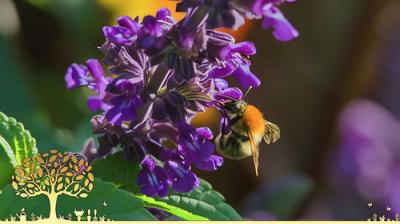 Gardeners' World
