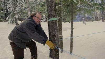 Un chef à la cabane