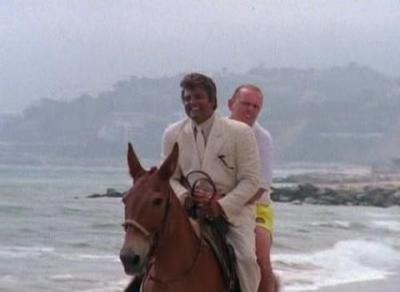 Son of the Beach