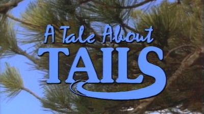 Marty Stouffer's Wild America