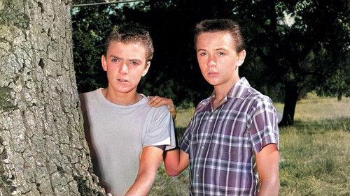 The Hardy Boys filmas žiurėti online