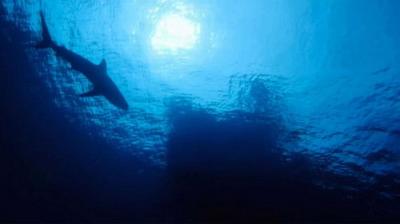 Deadliest Catch: Bloodline