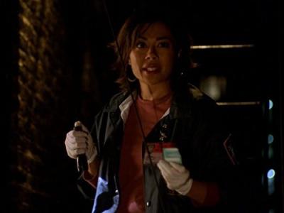 Įstatymas ir tvarka. Specialiųjų tyrimų skyrius