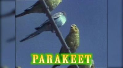 Beakman's World