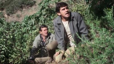 The Fugitive