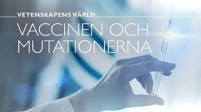 Vetenskapens värld