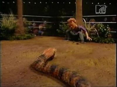 Celebrity Deathmatch