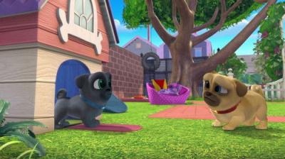 Puppy Dog Pals