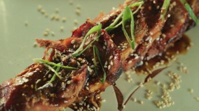 Steven Raichlen's Project Smoke