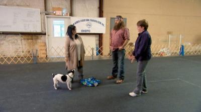Duck Dynasty