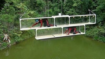 I'm a Celebrity...Get Me Out of Here!