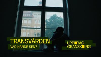 Uppdrag granskning sommar
