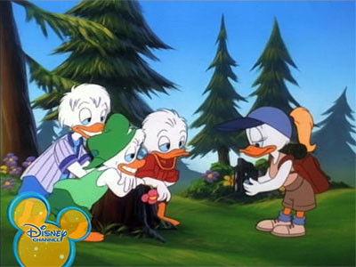 Quack Pack