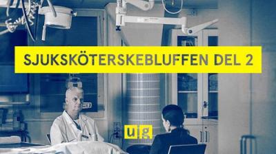 Uppdrag granskning