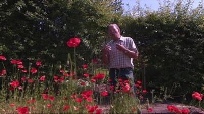 The Beechgrove Garden