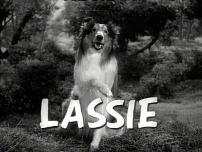 Lassie