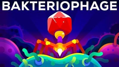 Kurzgesagt - In a Nutshell