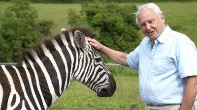 David Attenborough's Natural Curiosities