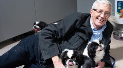 For the Love of Dogs