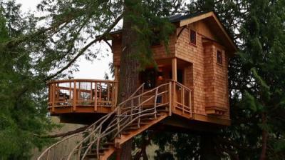 Treehouse Masters