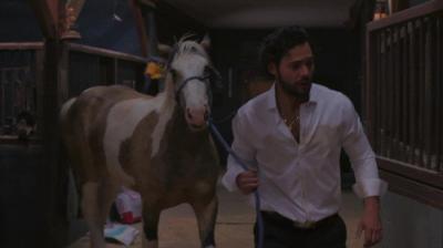 Tierra de amor y coraje