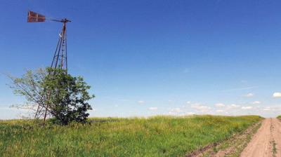 Murder Comes To Town