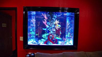 Tanked
