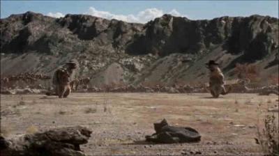 Les Marmottes
