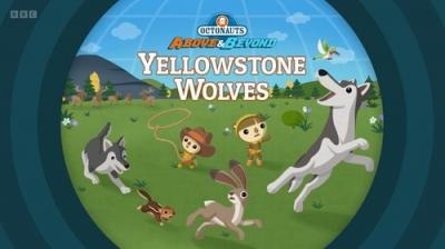 Octonauts: Above & Beyond