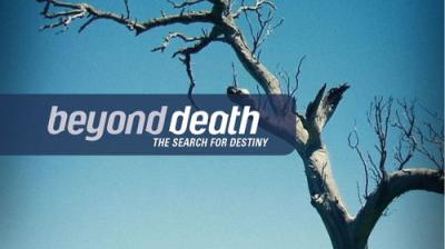 Beyond the Search