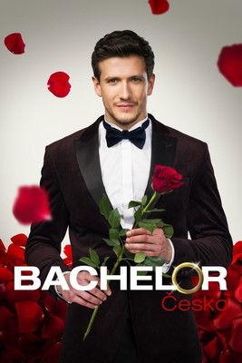 Bachelor filmas online