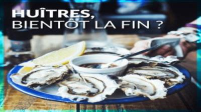 Le Doc du dimanche