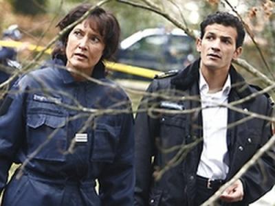 Section de recherches