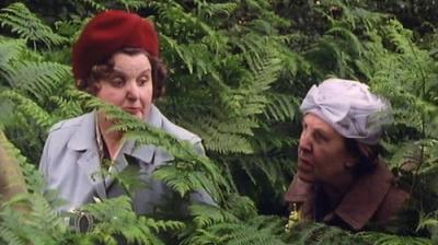 Last of the Summer Wine