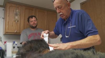 The Incredible Dr. Pol