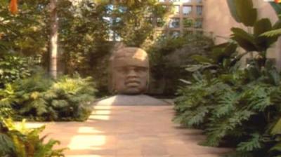 Digging for the Truth