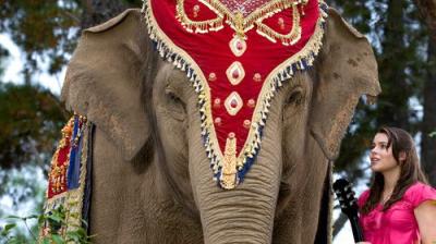 The Elephant Princess